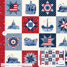Load image into Gallery viewer, Windham Fabrics - American Tribute - Heritage &amp; Honor - Panel
