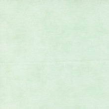 Load image into Gallery viewer, Moda Fabrics - Kindness - Shaded Solid Mist - 1/2 YARD CUT
