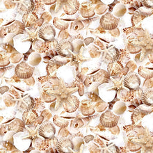 Load image into Gallery viewer, Timeless Treasures - Let Your Light Shine - Packed Shells - 1/2 YARD CUT
