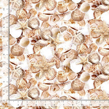 Load image into Gallery viewer, Timeless Treasures - Let Your Light Shine - Packed Shells - 1/2 YARD CUT
