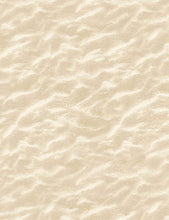 Load image into Gallery viewer, Timeless Treasures - Let Your Light Shine - Sand Dunes - 1/2 YARD CUT

