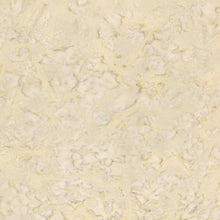 Load image into Gallery viewer, Expressions Batiks by Riley Blake Fabrics - Hand Dyes Toasted Almond - 1/2 YARD CUT

