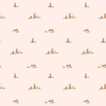 Load image into Gallery viewer, Riley Blake - Sweet Cotton Tales - Flopsy Fields - 1/2 YARD CUT
