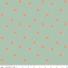 Load image into Gallery viewer, Riley Blake - The Apothecary - Pumpkin Toss - Mint - 1/2 YARD CUT
