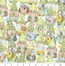Load image into Gallery viewer, Timeless Treasures - Gnome Grown - Spring Gnome and Bird Cage - 1/2 YARD CUT
