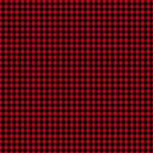 Load image into Gallery viewer, Timeless Treasures - Gnome for the Holidays - Red Check Plaid - 1/2 YARD CUT
