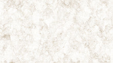 Load image into Gallery viewer, Northcott - Sea Breeze - Sand Dollars Cream - 1/2 YARD CUT
