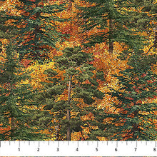 Load image into Gallery viewer, Northcott - Autumn Woodland Naturescapes - Trees - 1/2 YARD CUT

