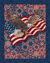 Load image into Gallery viewer, Northcott - Stars &amp; Stripes 14 Panel
