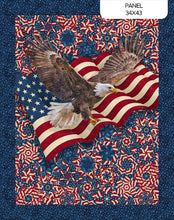 Load image into Gallery viewer, Northcott - Stars &amp; Stripes 14 Panel

