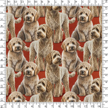 Load image into Gallery viewer, David Textiles - Labradoodle Red - 1/2 YARD CUT
