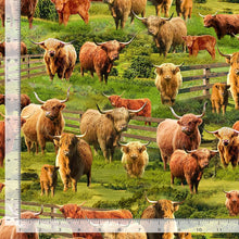 Load image into Gallery viewer, Timeless Treasures - Highland Cows - 1/2 YARD CUT

