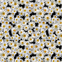 Load image into Gallery viewer, Timeless Treasures - Advice from a Sunflower - Blooming Packed Daisies - 1/2 YARD CUT
