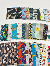 Load image into Gallery viewer, I-Spy Charm Pack - 72 pieces
