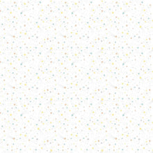 Load image into Gallery viewer, Timeless Treasures - Wish &amp; Wonder - Tiny Allover Stars Multi - 1/2 YARD CUT

