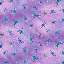 Load image into Gallery viewer, Timeless Treasures - Dragonfly Mist - Flying Dragonflies - Lavender - 1/2 YARD CUT
