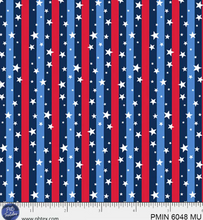 Load image into Gallery viewer, P&amp;B Textiles - Patriotic Minis - Land of Liberty - 1/2 YARD CUT
