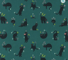 Load image into Gallery viewer, Ruby Star Society - Freaky Familiars - Storytime Catwalk - 1/2 YARD CUT

