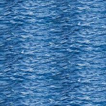 Load image into Gallery viewer, Timeless Treasures - Beacon of Light - Sea Water - 1/2 YARD CUT
