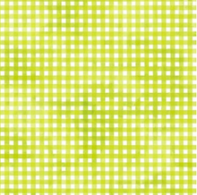 Load image into Gallery viewer, P&amp;B Textiles - Sorbet - Gingham - Lime - 1/2 YARD CUT
