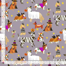 Load image into Gallery viewer, Dear Stella - Too Cute to Spook - 1/2 YARD CUT
