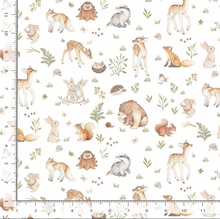 Load image into Gallery viewer, Dear Stella - ABC's of Love - Enchanted Woods - 1/2 YARD CUT
