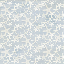 Load image into Gallery viewer, P&amp;B Textiles - Sea Whispers - Star Fish Allover - Light Blue Gray - 1/2 YARD CUT
