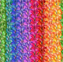 Load image into Gallery viewer, Hoffman - Yuletide Blooms - Poinsettia Ombre Stripe - 1/2 YARD CUT
