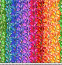 Load image into Gallery viewer, Hoffman - Yuletide Blooms - Poinsettia Ombre Stripe - 1/2 YARD CUT
