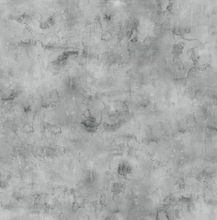 Load image into Gallery viewer, Clothworks - Our World - Digital Tonal - Gray - 1/2 YARD CUT

