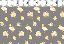 Load image into Gallery viewer, Clothworks - Farm Life - Chicks - 1/2 YARD CUT
