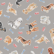 Load image into Gallery viewer, Michael Miller - Stay Pawsitive - Play Time Gray - 1/2 YARD CUT
