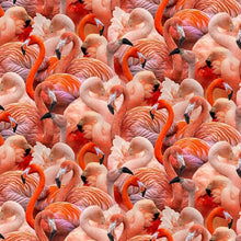 Load image into Gallery viewer, Michael Miller - Flamingo Grace - Plumage Parade - 1/2 YARD CUT

