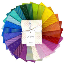 Load image into Gallery viewer, Tula Pink - True Colors Tiny Coordinates Fat Quarter Bundle
