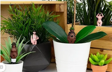 Load image into Gallery viewer, Mini Plant Pot Naked Ramblers
