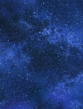 Load image into Gallery viewer, Timeless Treasures - Aurora - Starry Sky - 1/2 YARD CUT
