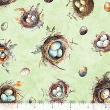 Load image into Gallery viewer, QT Fabrics - Birdsong - Bird Nest &amp; Eggs - 1/2 YARD CUT
