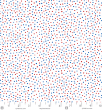 Load image into Gallery viewer, RJR - Happiest Dots - Fireworks - 1/2 YARD CUT
