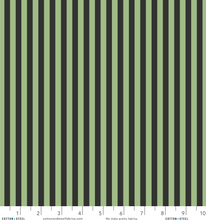 Load image into Gallery viewer, Rifle Paper Co - Cabana Stripe Green - 1/2 YARD CUT
