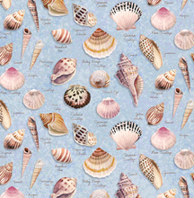 Load image into Gallery viewer, Clothworks - Seashell Wishes - Shells - 1/2 YARD CUT
