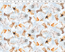 Load image into Gallery viewer, Clothworks - Best Friends - Light Denim Tossed Dogs - 1/2 YARD CUT
