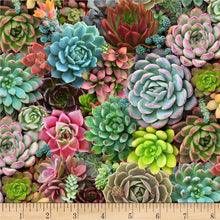 Load image into Gallery viewer, Elizabeth's Studio - Landscape Medley - Large Succulents - 1/2 YARD CUT
