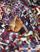 Load image into Gallery viewer, Timeless Treasures - Cats on Patriotic Quilt - 1/2 YARD CUT
