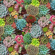 Load image into Gallery viewer, Elizabeth's Studio - Landscape Medley - Large Succulents - 1/2 YARD CUT
