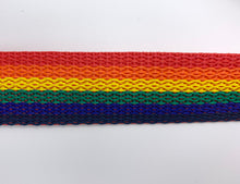 Load image into Gallery viewer, Rainbow 1" Polypro Webbing - BY THE YARD
