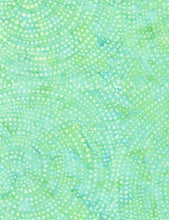 Load image into Gallery viewer, Timeless Treasures - Tonga Batik Dotty Spiral Fresh - 1/2 YARD CUT
