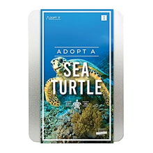 Load image into Gallery viewer, Adopt a Sea Turtle Kit

