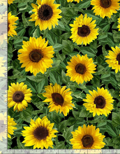 Load image into Gallery viewer, Timeless Treasures - Garden Bouquet - Small Leafy Sunflowers - 1/2 YARD CUT
