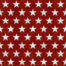 Load image into Gallery viewer, henry glass live free red star fabric
