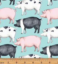 Load image into Gallery viewer, Kanvas - Rise 'n Shine - Pigs &amp; Dots Aqua - 1/2 YARD CUT
